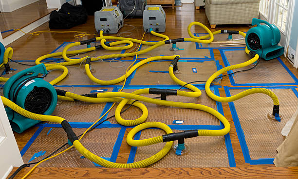 Professional Sewage Cleanup technician working in Darien, IL